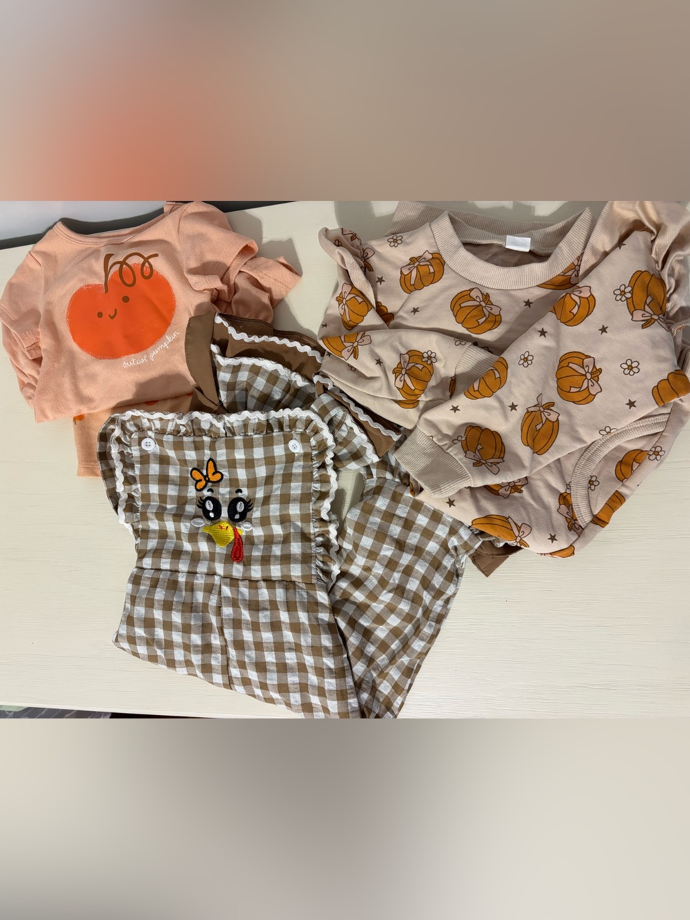 18 mo Fall Baby Girls Bundle